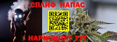 молекула духа Аша